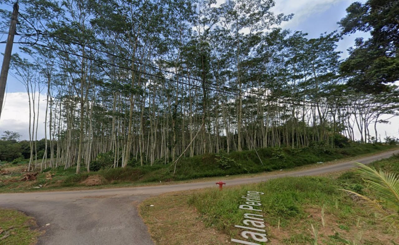 Agricultural land in Simpang Ampat, Alor Gajah