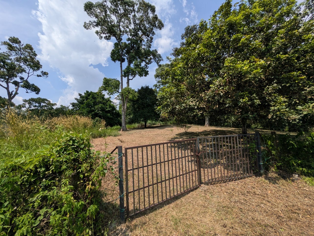Hilltop land with nice view and breezy — photo 4
