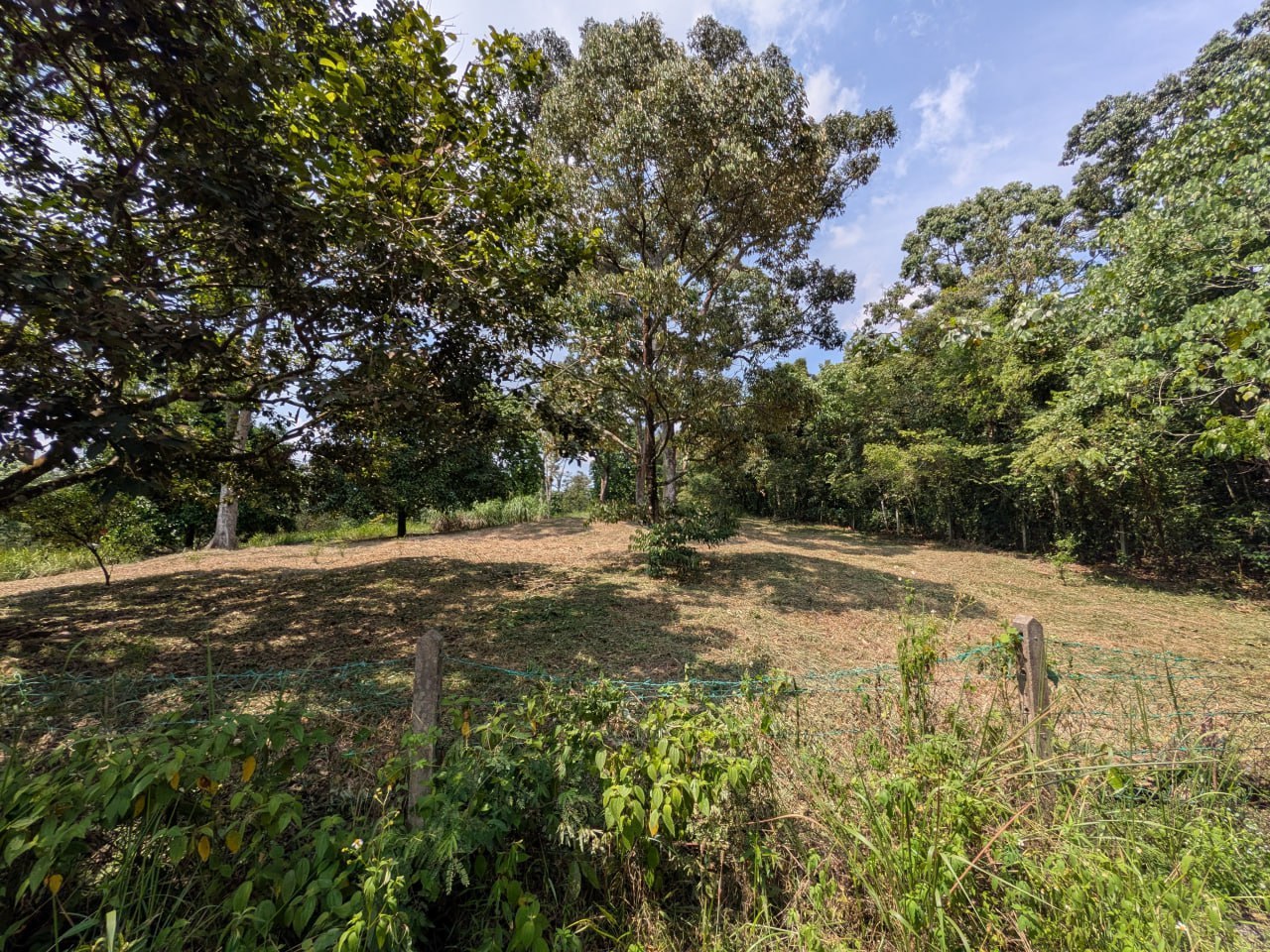 Hilltop land with nice view and breezy — photo 5