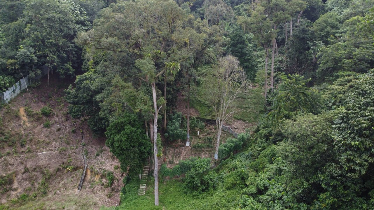Roadside land elevated for orchard and retirement Penchala TTDI KL