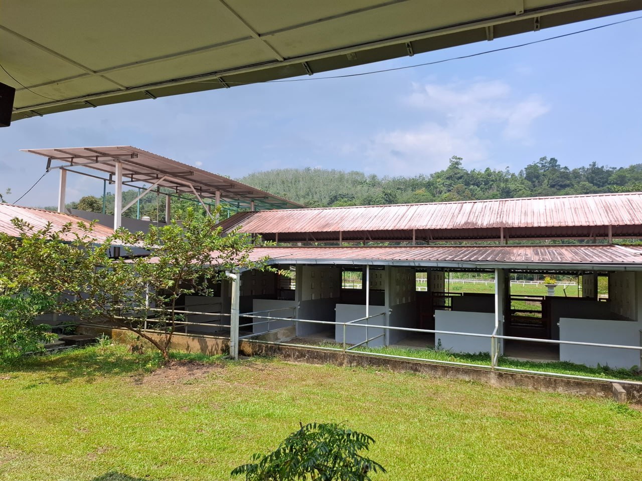 5.686 acres Horse Farm in Kenaboi, Jelebu