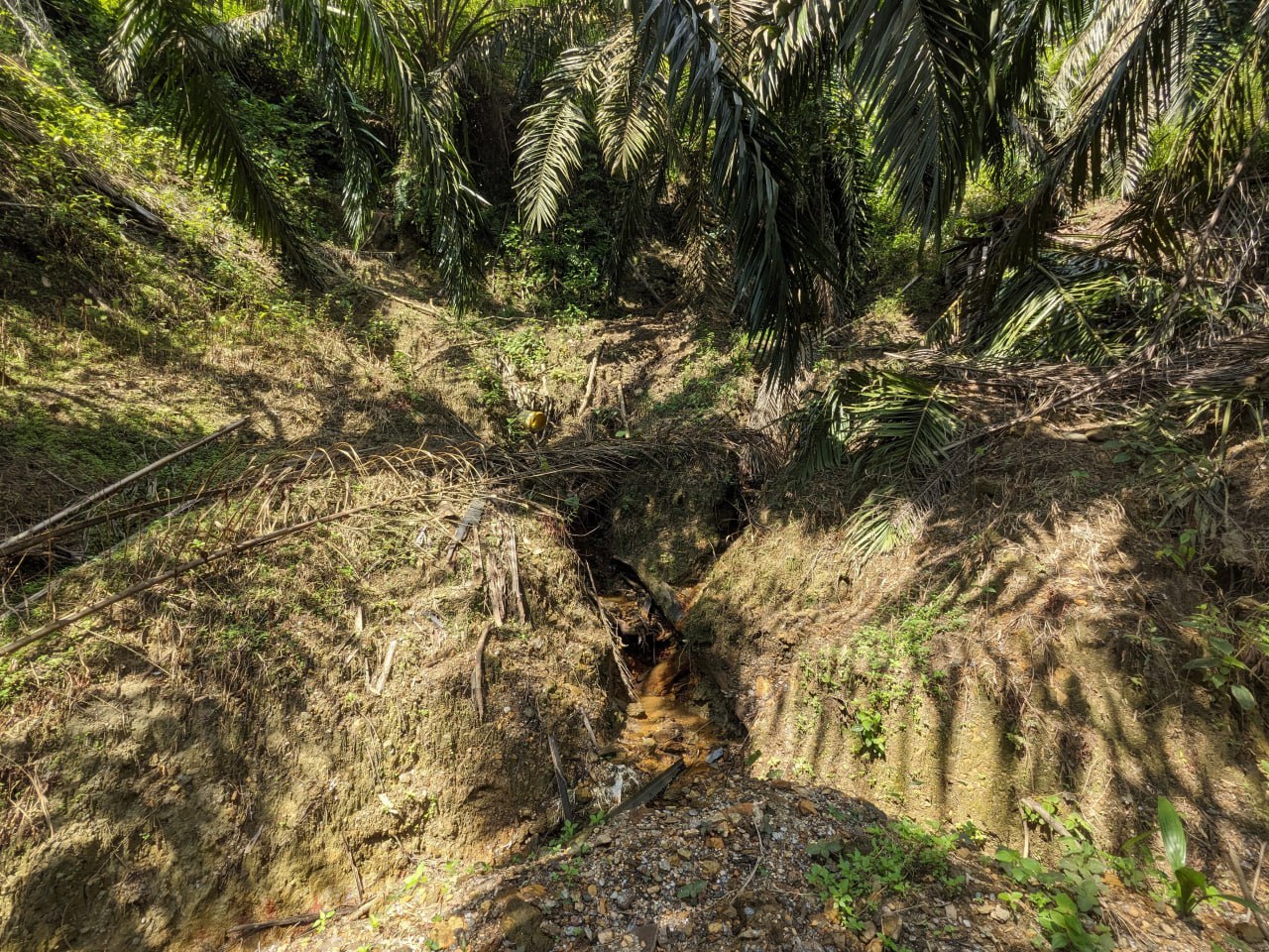 Land in Nilai, Negeri Sembilan — photo 2