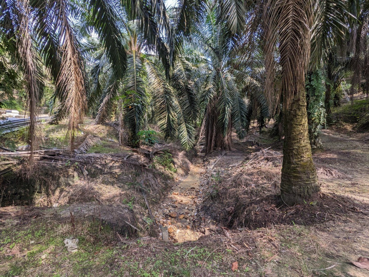 Land in Nilai, Negeri Sembilan — photo 3