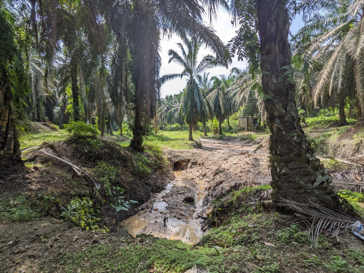 Land in Nilai, Negeri Sembilan — photo 4