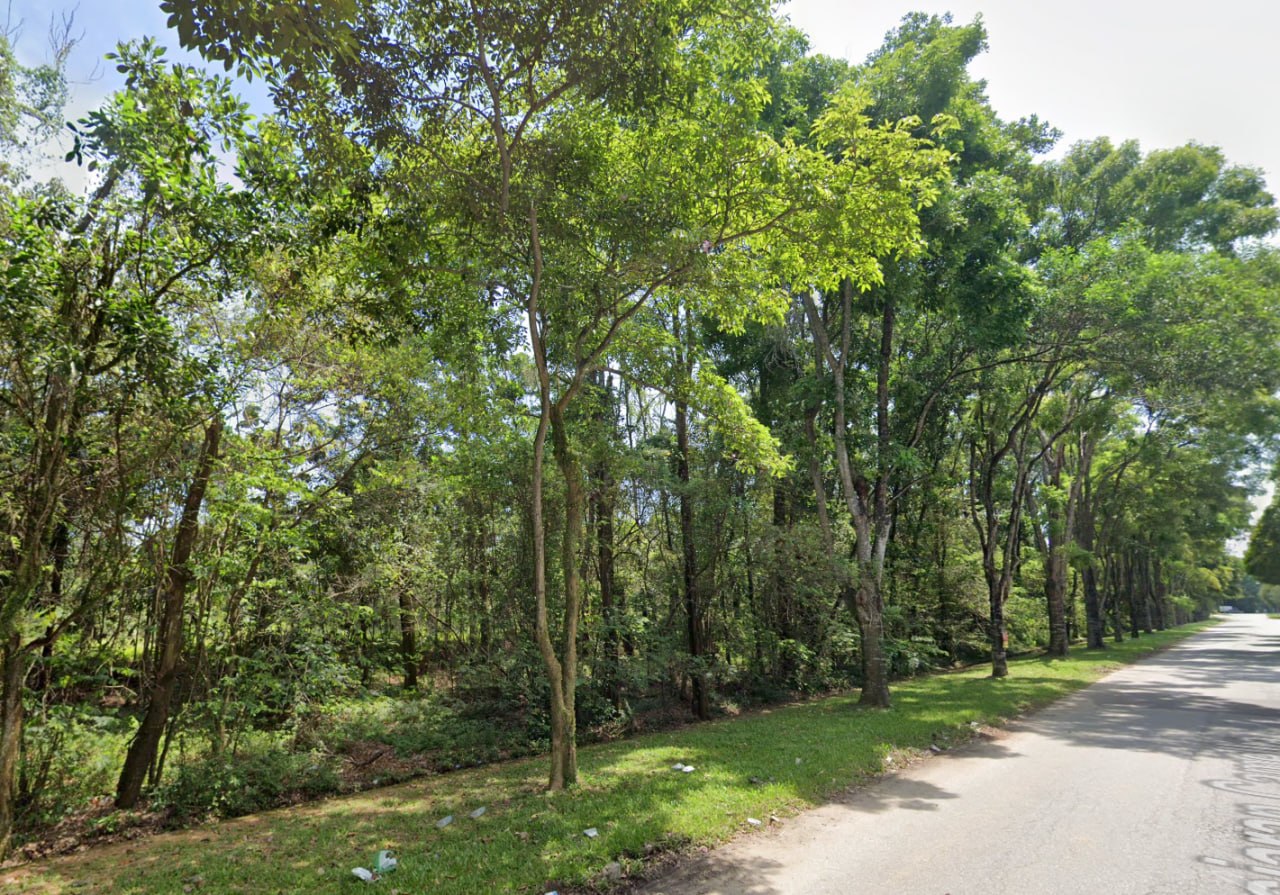 Land suitable for data center - Bukit Beruntung — photo 4