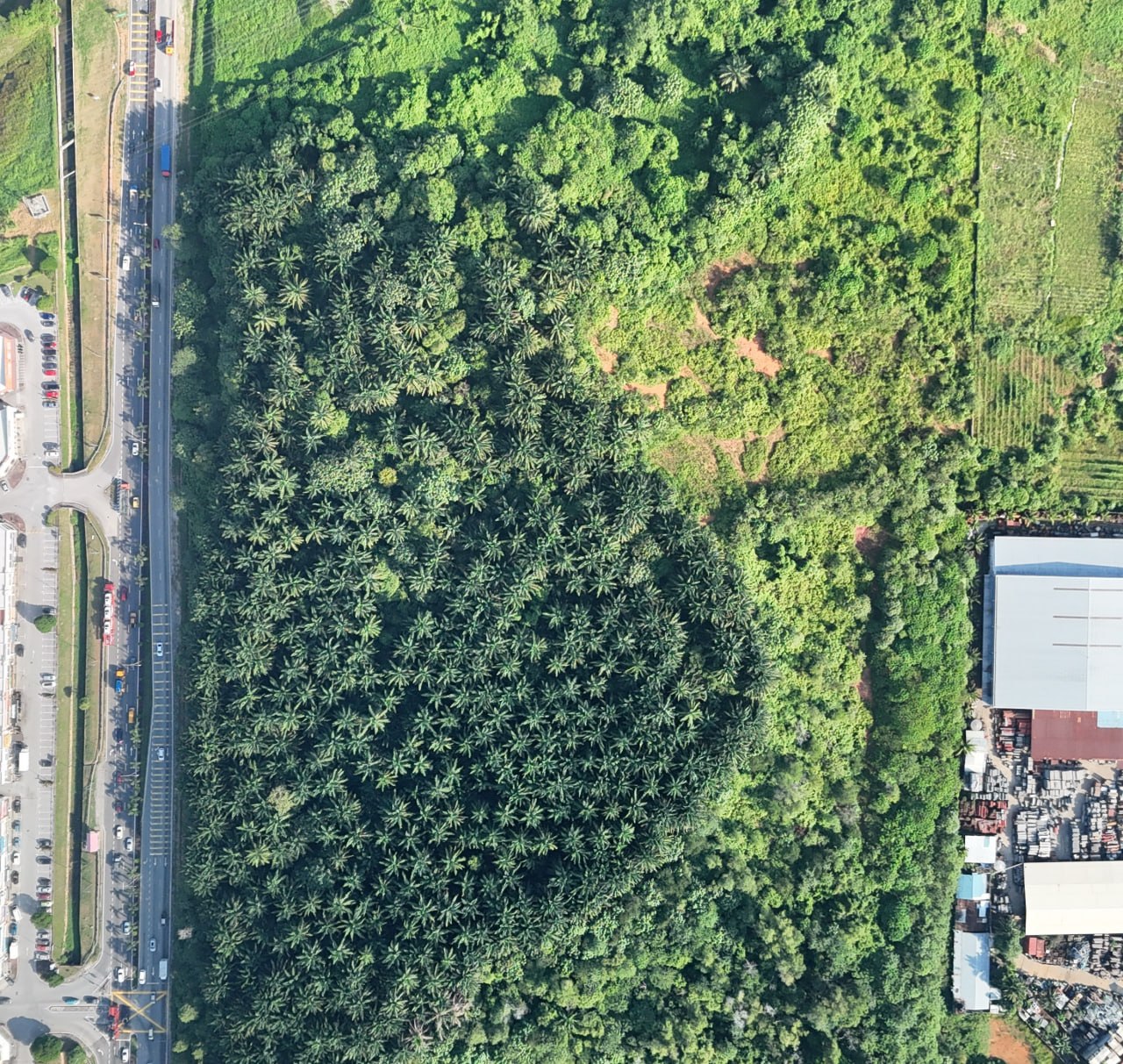 Land suitable for data center - Bukit Beruntung — photo 6