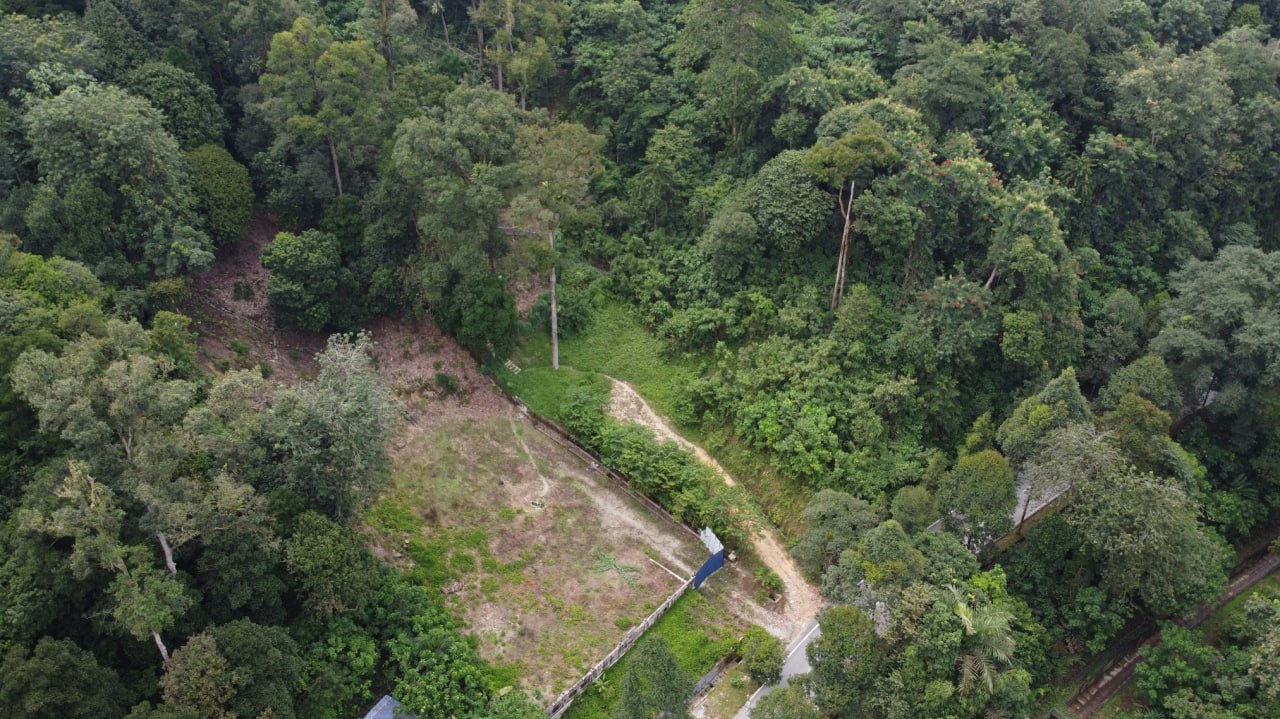 Roadside land elevated for orchard and retirement Penchala TTDI KL — photo 3