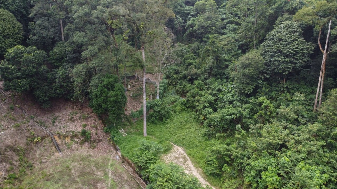 Roadside land elevated for orchard and retirement Penchala TTDI KL — photo 4