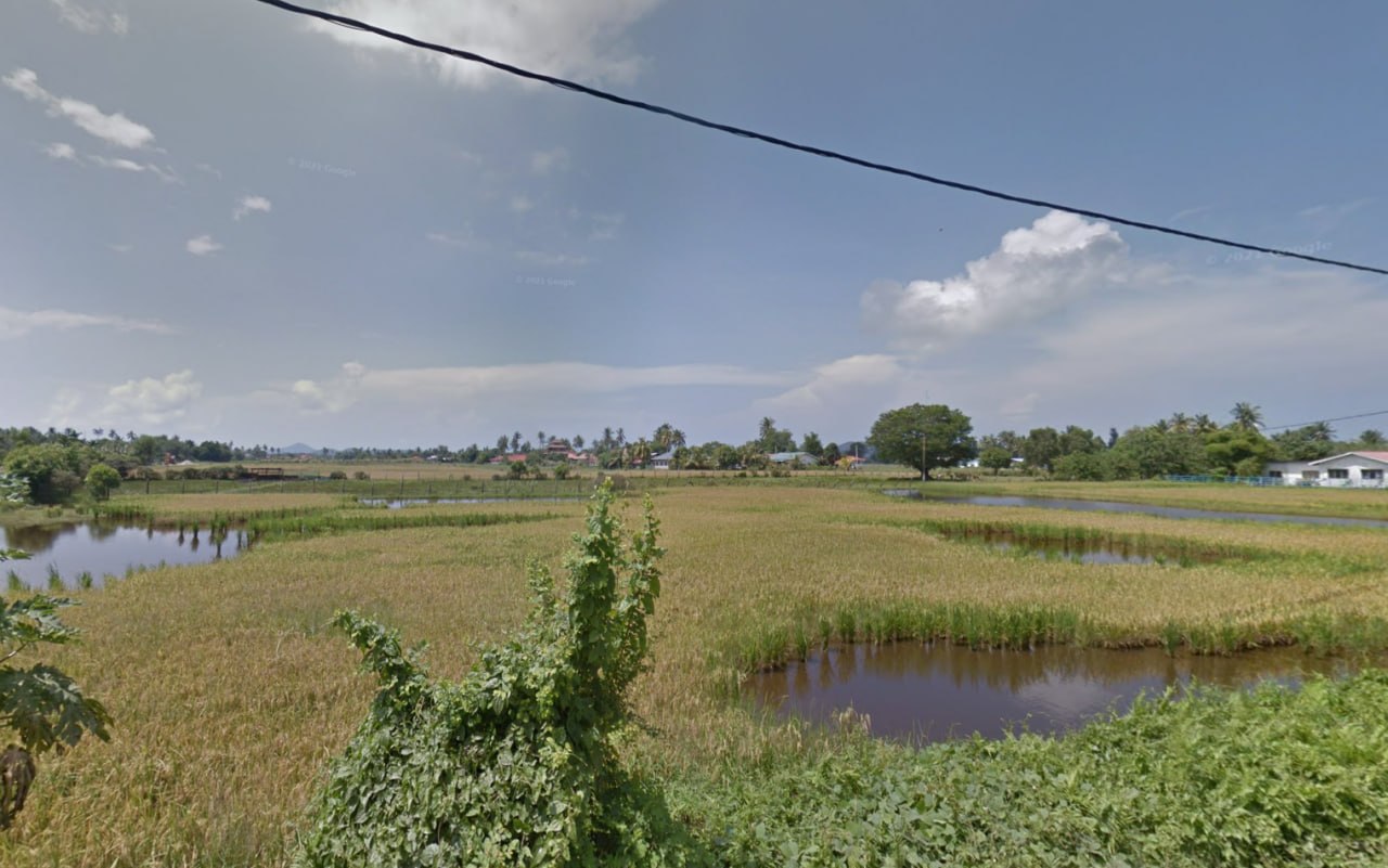 Tanah rata untuk dijual di Kg Paya Mempelam — photo 4