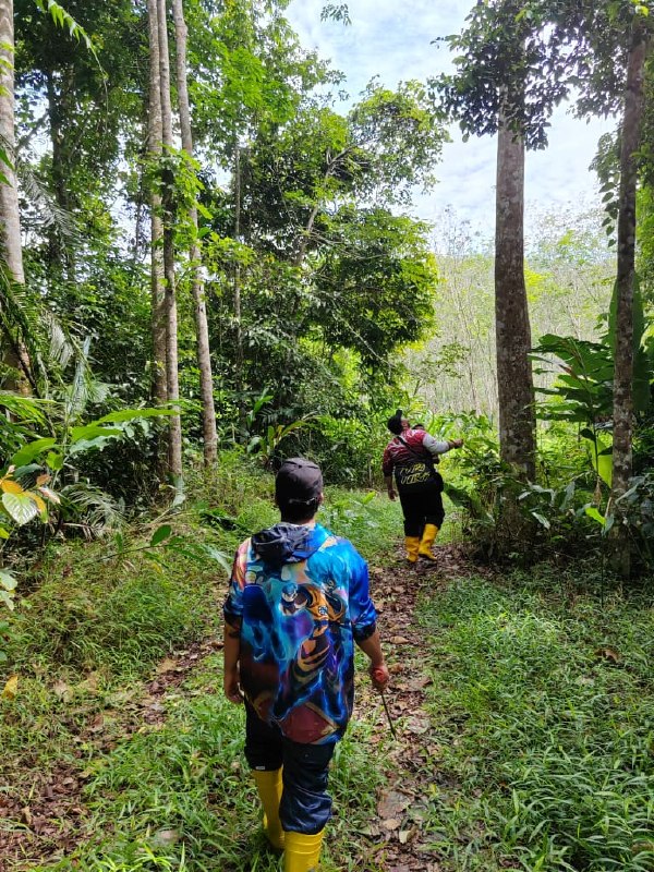 Tanah pertanian di Padang Tengku, Lipis, Pahang — photo 2