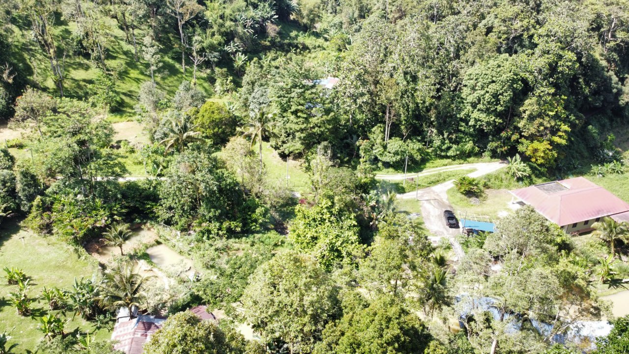 Janda Baik agricultural land — photo 2