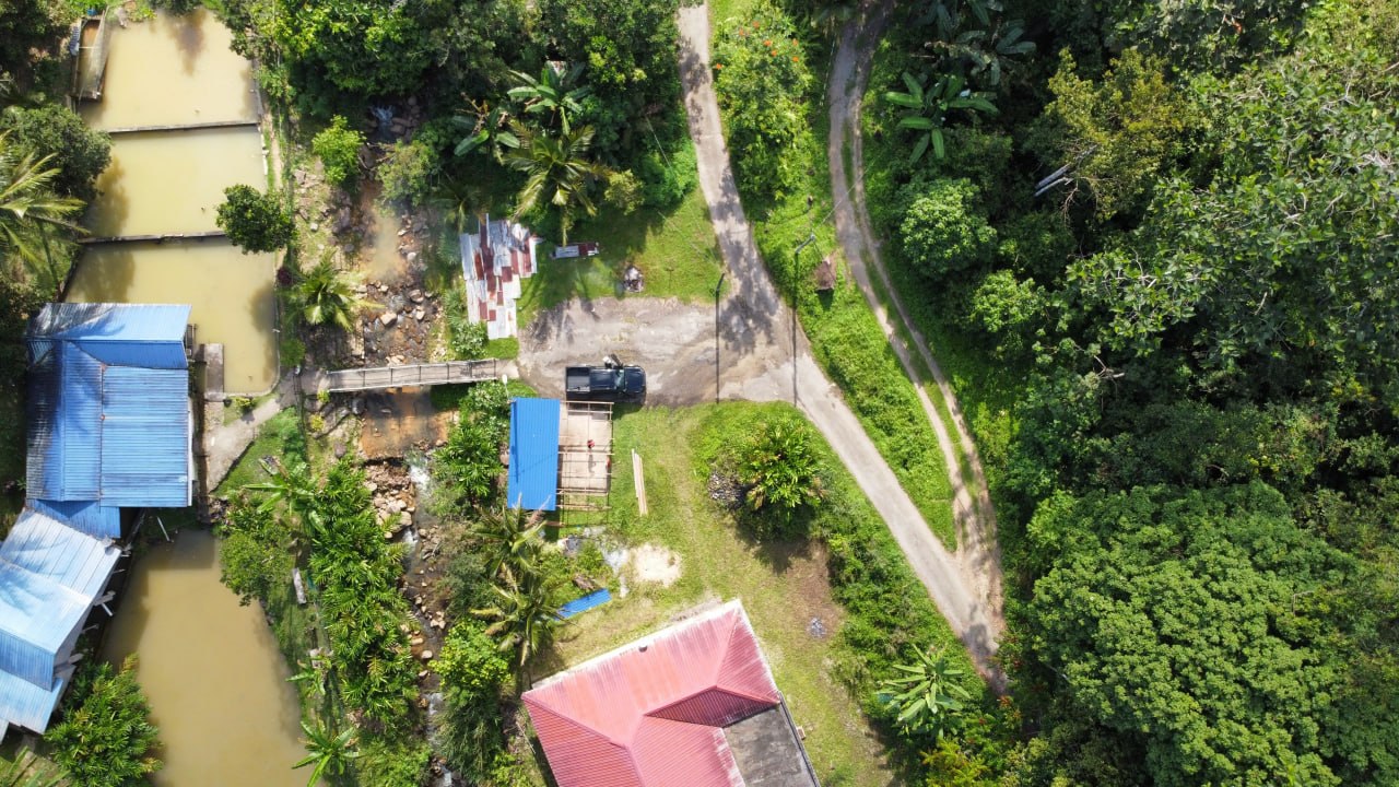 Janda Baik agricultural land — photo 3