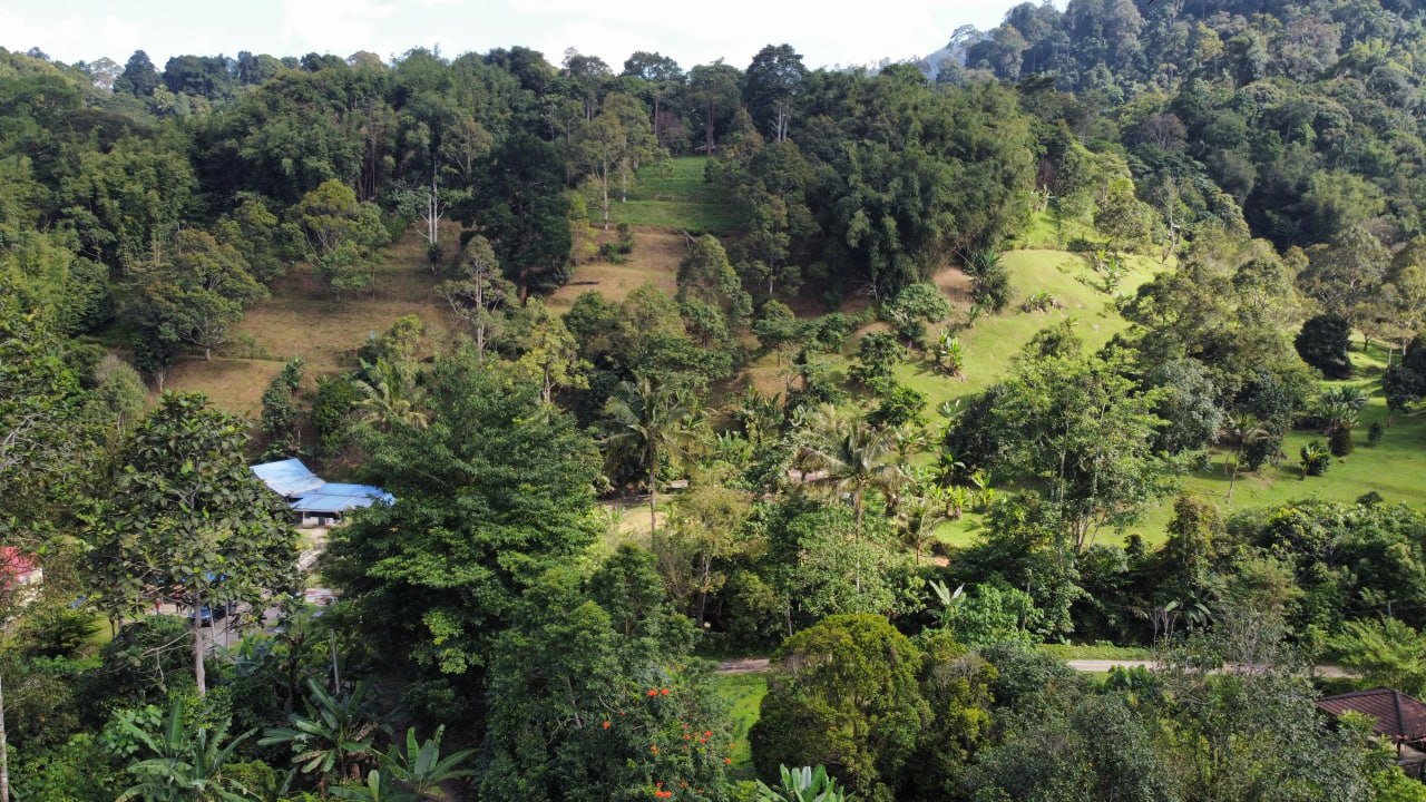 Janda Baik agricultural land — photo 5