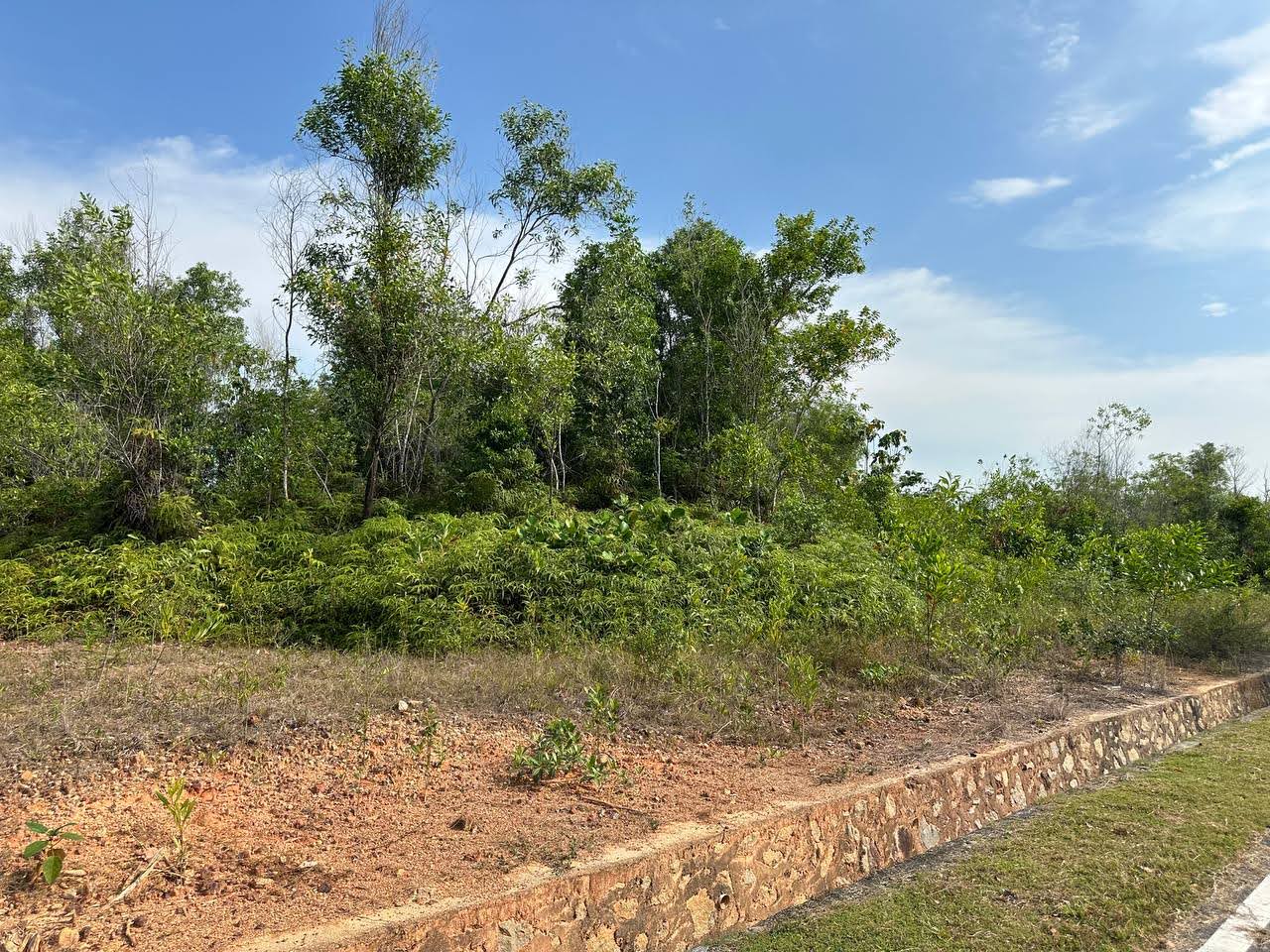 Residential Land Bandar Baru Bangi — photo 2