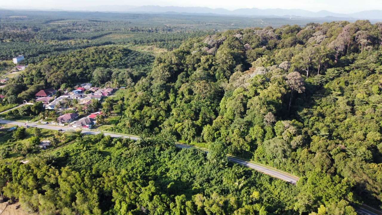20 acres of residential land Pasir Panjang Port Dickson — photo 1