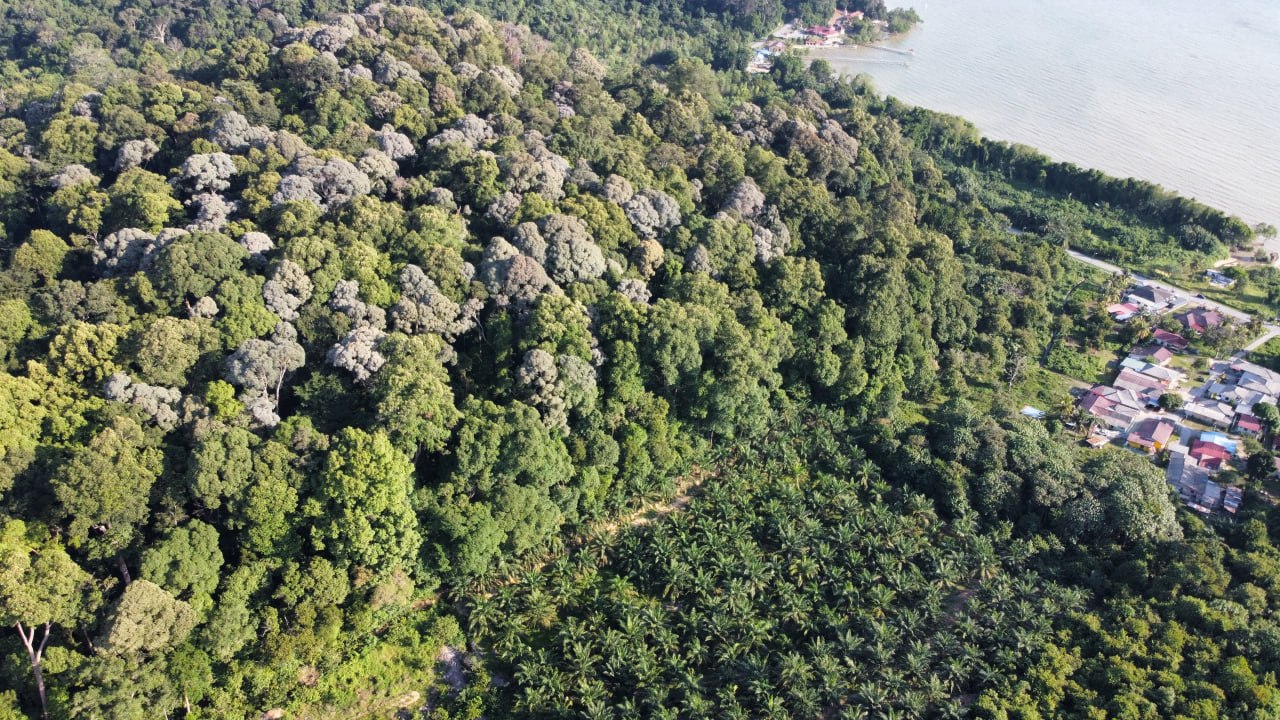 20 acres of residential land Pasir Panjang Port Dickson — photo 2