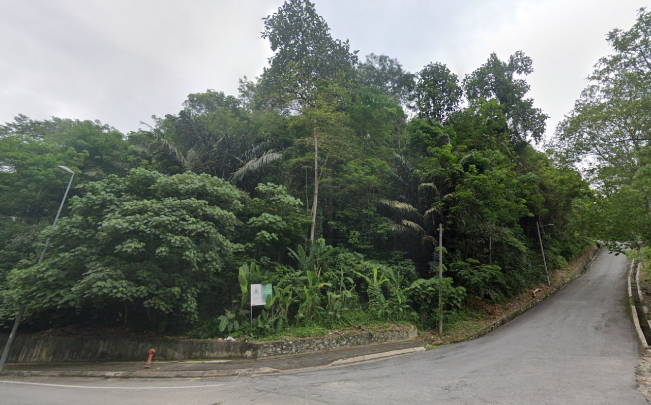 Penchala Malay Reserve Agricultural Land — photo 2