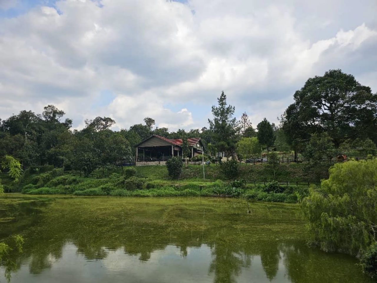Durian farm with pond with bungalow — photo 2