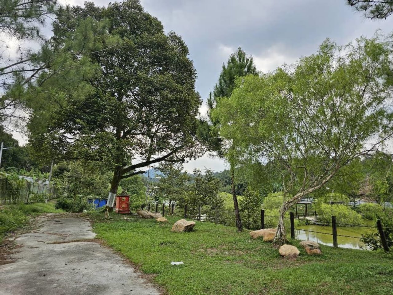 Durian farm with pond with bungalow — photo 3
