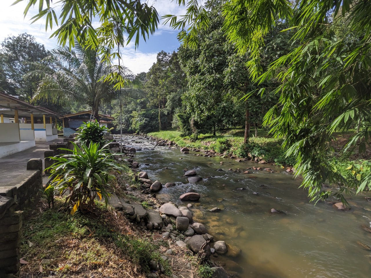 Agriculture land Riverside Batu 21 Pangsun — photo 2