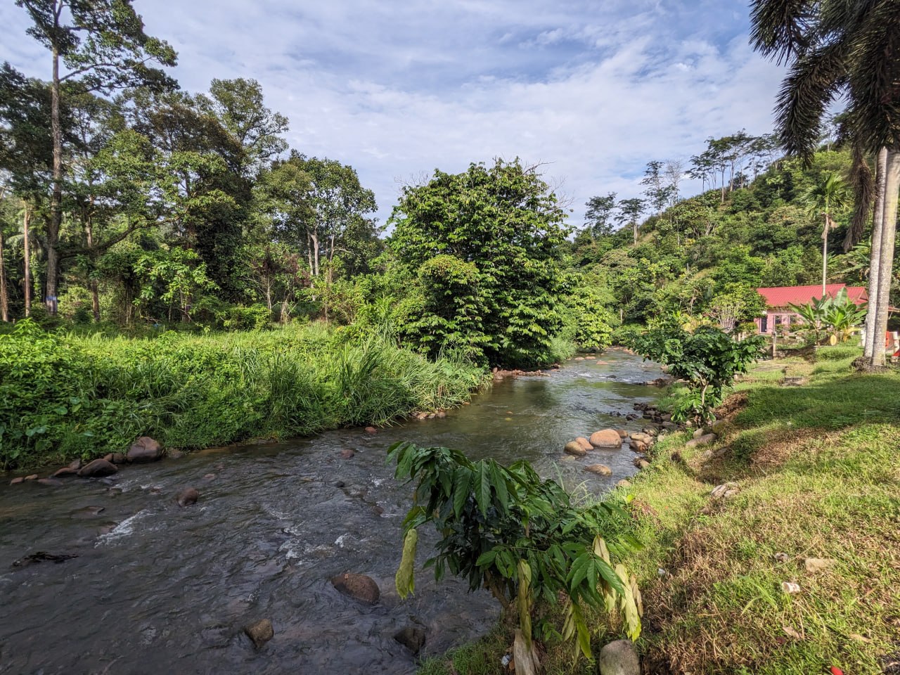 Agriculture land Riverside Batu 21 Pangsun — photo 3