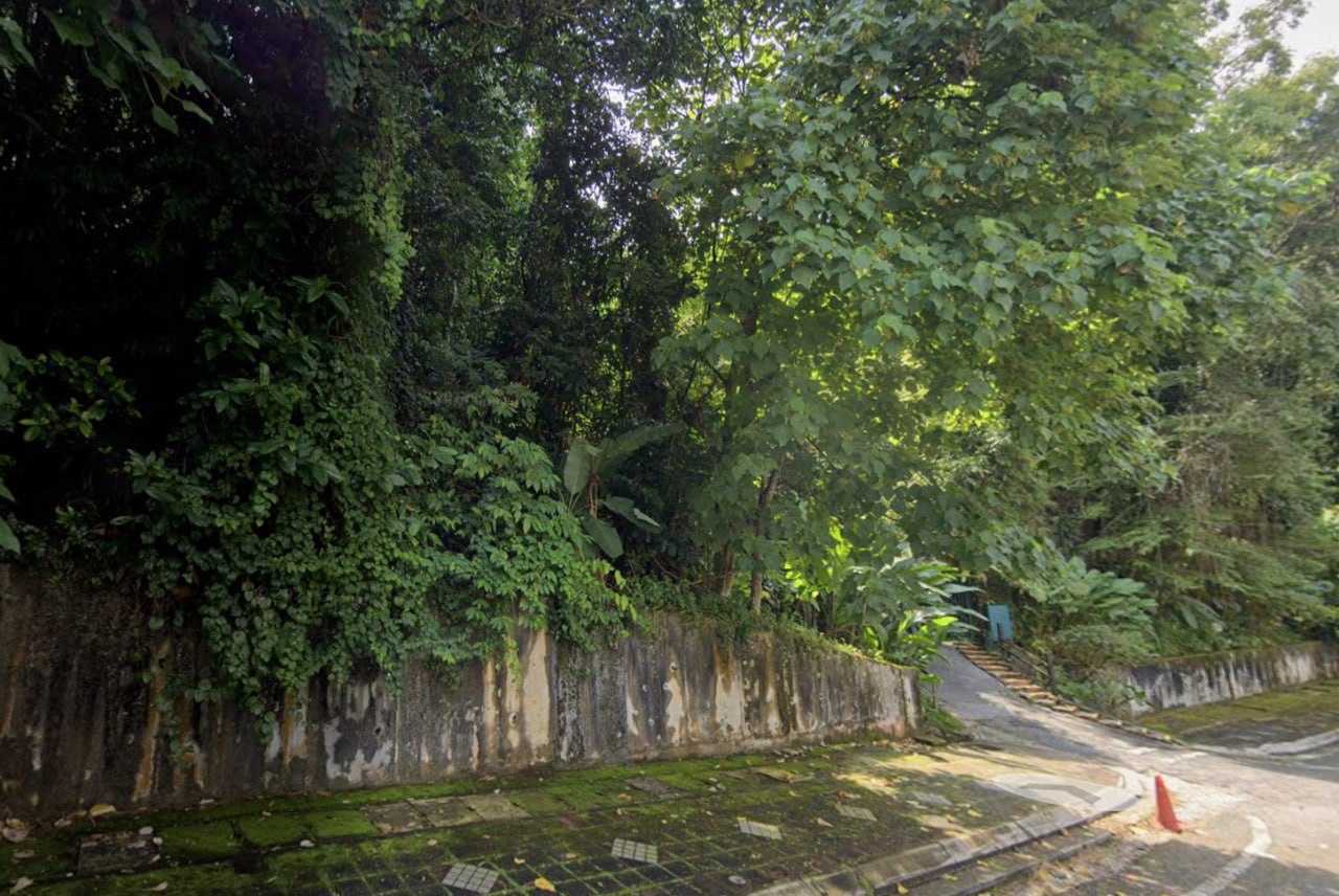 Roadside agricultural land Jalan Penchala Indah — photo 4