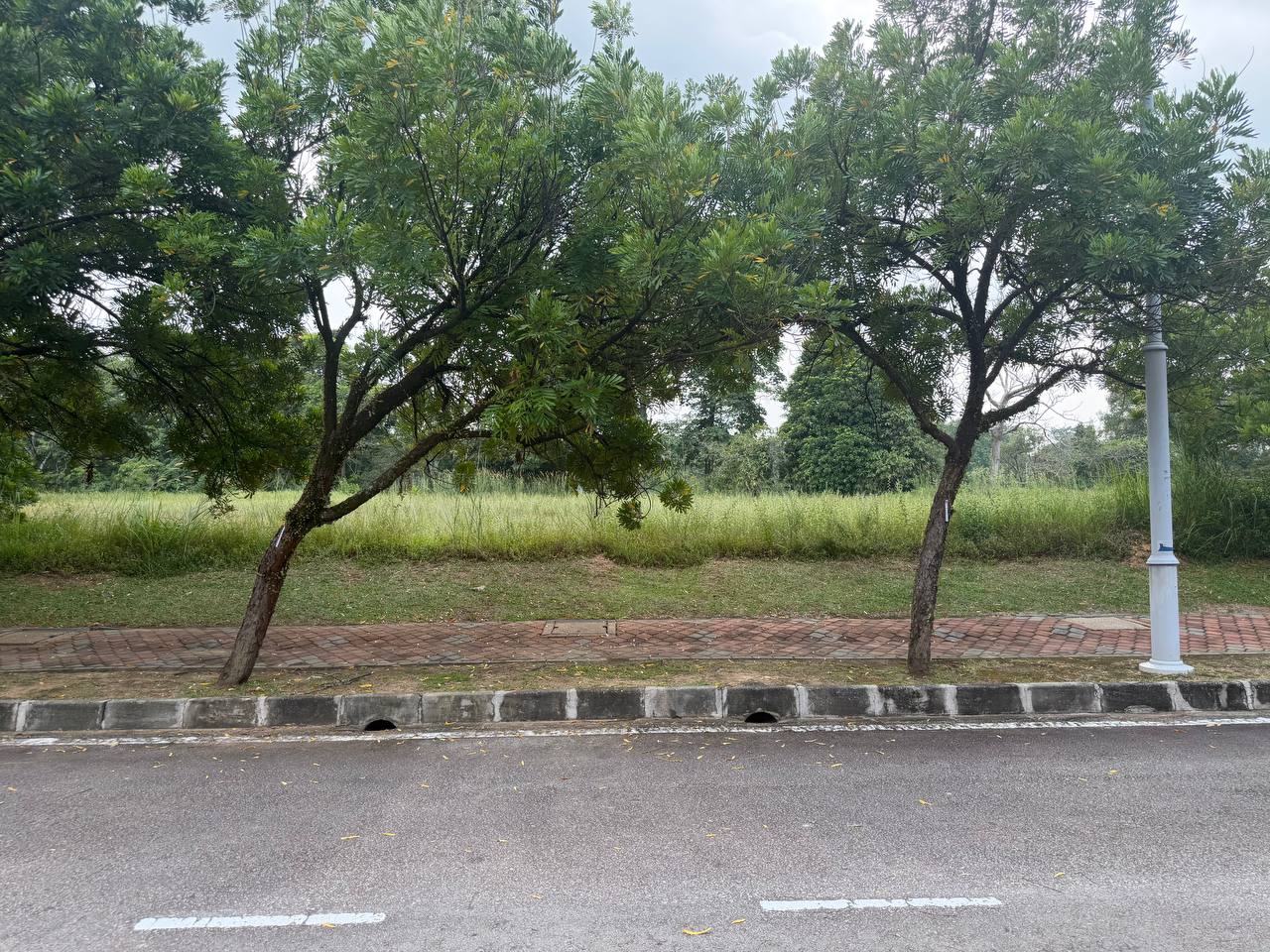 Lake View | Exclusive Bungalow Land in Presint 10 — photo 1
